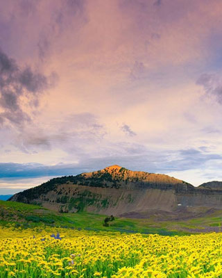 Ladakh Tour Packages